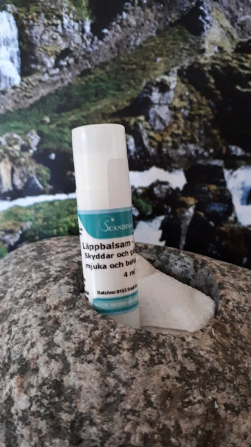 Läppbalsam - Naturligt skydd för mjuka läppar
