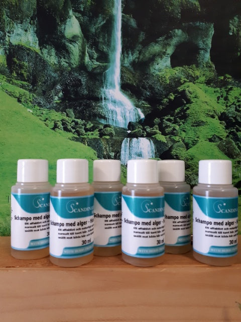 Schampo med alger 6-pack (30ml) – Naturlig näring för normalt till torrt hår