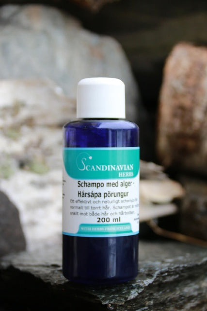 Schampo med alger – Naturlig näring för normalt till torrt hår